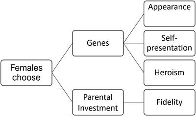 How Language and Human Altruism Evolved Hand in Hand — The Backchannel Hypothesis